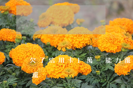 欠了信用卡1萬沒能力還（欠信用卡款1萬未還）