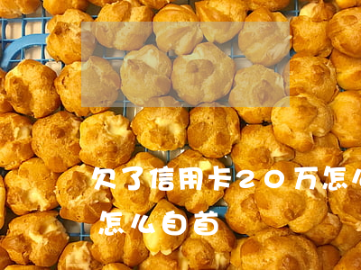 欠了信用卡20万怎么办（信用卡逾期20万怎么自首）