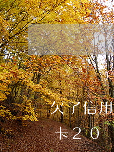 欠了信用卡20萬敢告訴家婆嗎-欠了信用卡20萬敢告訴家婆嗎知乎