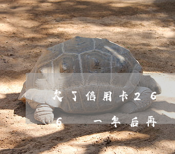 欠了信用卡26萬一年后再還 欠了信用卡26萬一年后再還