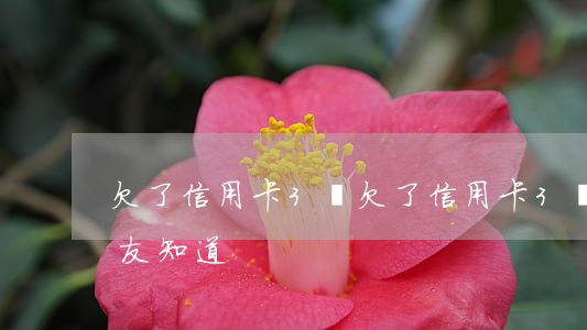 欠了信用卡3萬 欠了信用卡3萬不想被男朋友知道