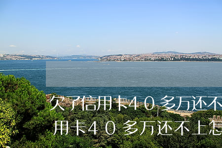 欠了信用卡40多万还不上怎么办-欠了信用卡40多万还不上怎么办呢