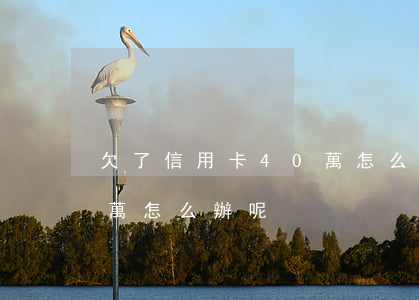 欠了信用卡40萬怎么辦-欠了信用卡40萬怎么辦呢
