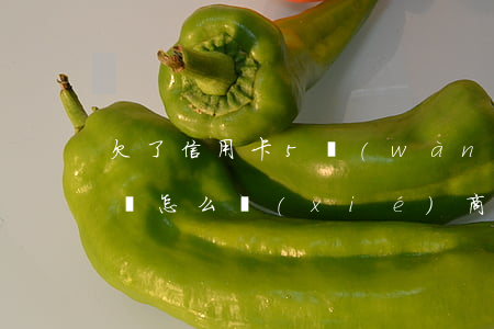 欠了信用卡5萬(wàn)無(wú)力償還怎么協(xié)商-欠信用卡5萬(wàn)無(wú)力償還怎么辦