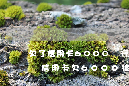 欠了信用卡6000銀行會(huì)立案嗎(信用卡欠6000被起訴了)