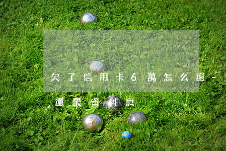欠了信用卡6萬怎么還-欠信用卡6萬怎么還最省利息