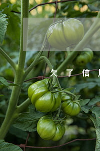 欠了信用卡6萬沒還該怎么處理-