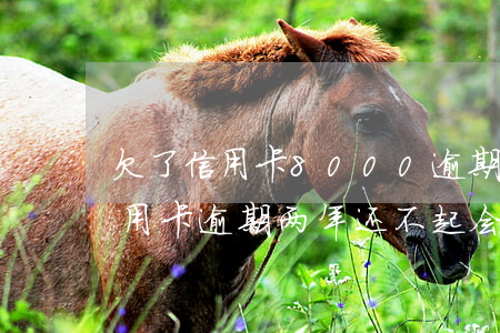 欠了信用卡8000逾期三个月会坐牢吗?（信用卡逾期两年还不起会坐牢吗）