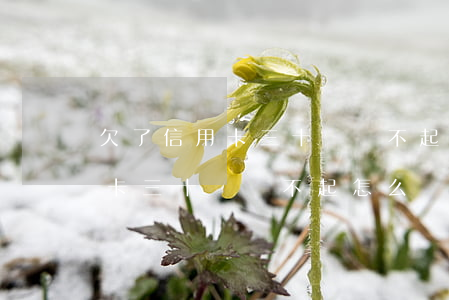 欠了信用卡三十萬還不起怎么辦-欠了信用卡三十萬還不起怎么辦呢