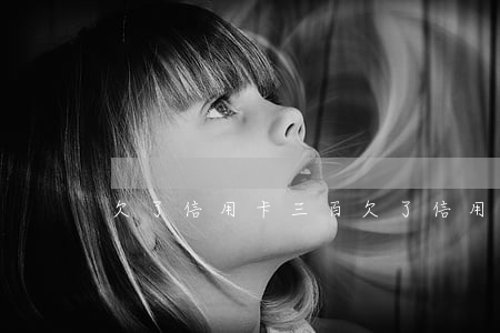 欠了信用卡三百(欠了信用卡三百)