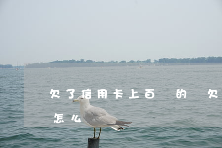 欠了信用卡上百萬的債(欠信用卡百萬還不起怎么辦)