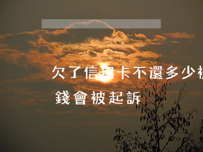 欠了信用卡不還多少被起訴(欠信用卡欠多少錢會被起訴)