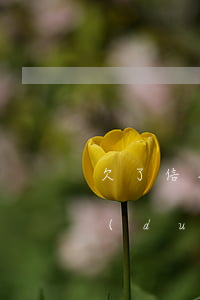 欠了信用卡不還有什么影響(欠信用卡不還對(duì)子女有影響嗎)