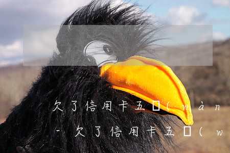 欠了信用卡五萬(wàn)父母能原諒我嗎-欠了信用卡五萬(wàn)父母能原諒我嗎知乎