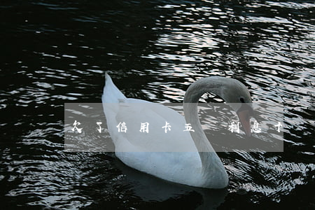 欠了信用卡五萬利息十萬怎么辦-