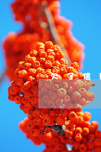 欠了信用卡 人不見了(欠信用卡人沒了怎么辦)