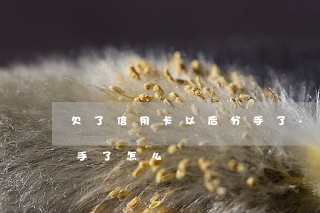 欠了信用卡以后分手了-欠了信用卡以后分手了怎么還