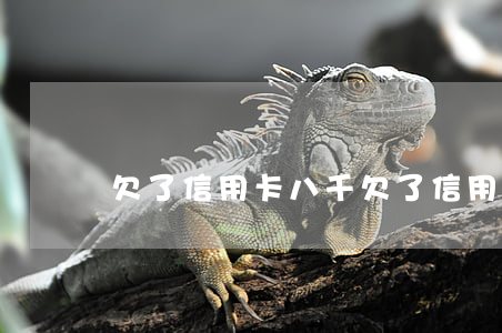 欠了信用卡八千 欠了信用卡八千怎么辦