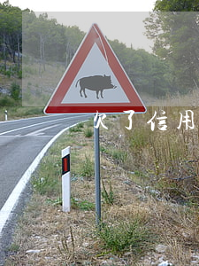 欠了信用卡去當(dāng)兵了