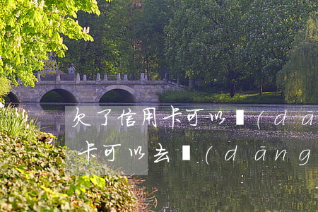 欠了信用卡可以當(dāng)兵嗎(欠信用卡可以去當(dāng)兵嗎)