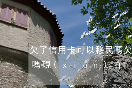 欠了信用卡可以移民嗎(欠了信用卡可以移民嗎現(xiàn)在)