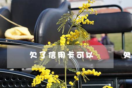 欠了信用卡可以車貸嗎(欠信用卡名下有貸款車)