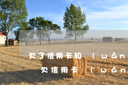 欠了信用卡和網(wǎng)貸16萬怎么辦(欠信用卡網(wǎng)貸幾十萬)
