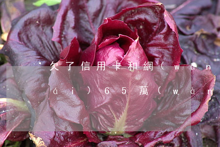 欠了信用卡和網(wǎng)貸加起來(lái)65萬(wàn)