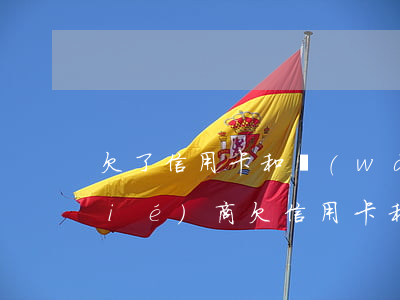 欠了信用卡和網(wǎng)貸如何協(xié)商(欠信用卡和網(wǎng)貸應(yīng)該怎么辦)