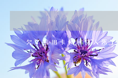 欠了信用卡和网贷人死了(欠信用卡网贷想死了)