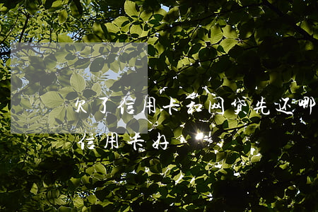 欠了信用卡和网贷先还哪个(欠网贷好还是欠信用卡好)