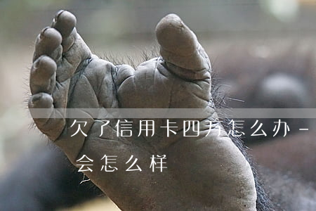 欠了信用卡四万怎么办-欠信用卡四万块钱会怎么样