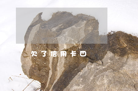 欠了信用卡四萬