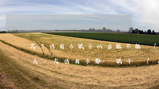 欠了信用卡孩子以后能不能當(dāng)兵-欠信用卡影響孩子當(dāng)兵嗎