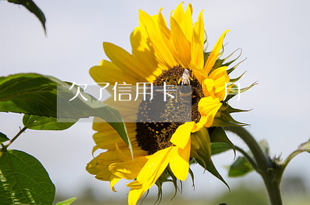 欠了信用卡幾個月沒還