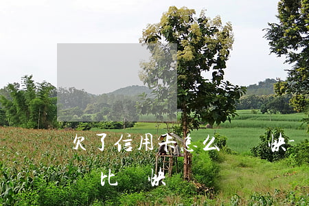 欠了信用卡怎么還錢快-欠信用卡的錢怎么還比較快
