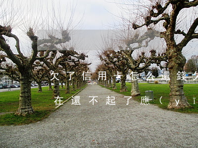 欠了信用卡怎么還錢(欠信用卡實(shí)在還不起了應(yīng)該怎么樣躲避呢)