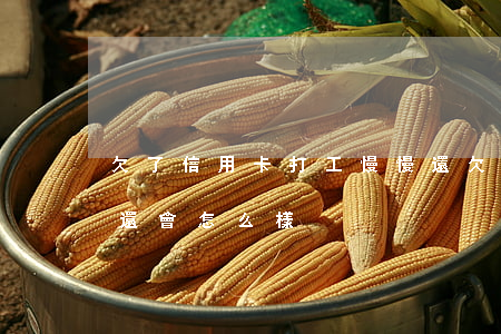 欠了信用卡打工慢慢還(欠了信用卡打工慢慢還會怎么樣)