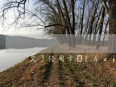 欠了信用卡會(huì)影響以后的小孩嗎-