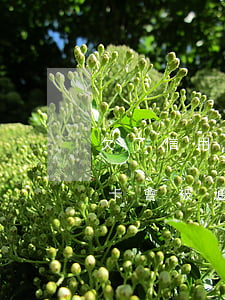 欠了信用卡會被通知到村居委嗎-欠了信用卡會被通知到村居委嗎怎么辦