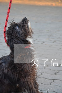 欠了信用卡會被通緝嗎(欠了信用卡會被通緝嗎)