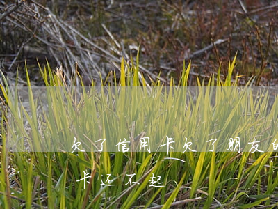 欠了信用卡欠了朋友的钱怎么办(欠朋友信用卡还不起)