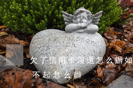 欠了信用卡沒還怎么辦(如果我欠了信用卡還不起怎么辦)