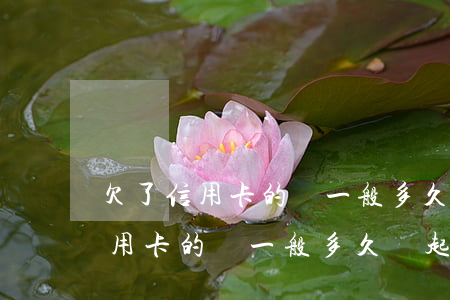 欠了信用卡的錢一般多久會起訴你-欠了信用卡的錢一般多久會起訴你呢
