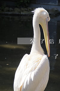 欠了信用卡的錢不還會(huì)被起訴嗎-欠了信用卡的錢不還會(huì)被起訴嗎怎么辦