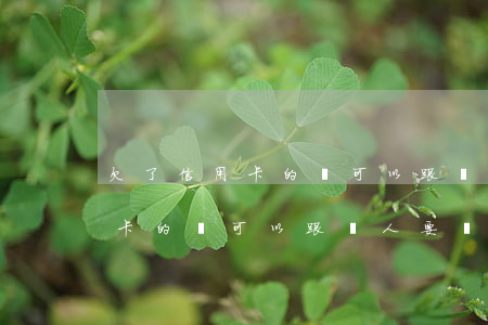 欠了信用卡的錢可以跟別人要嗎-欠了信用卡的錢可以跟別人要嗎安全嗎