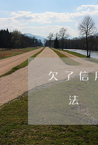 欠了信用卡的錢如何還(如果欠信用卡的錢沒辦法還怎么辦)
