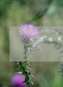 欠了信用卡的錢怎么辦(欠信用卡的錢最慘的)