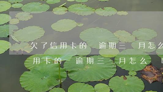 欠了信用卡的錢逾期三個月怎么辦-欠了信用卡的錢逾期三個月怎么辦呢