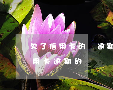 欠了信用卡的錢逾期三個月怎么辦 怎么還信用卡逾期的錢